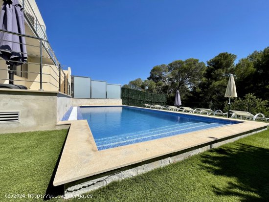 Casa en alquiler en Alcúdia (Baleares)