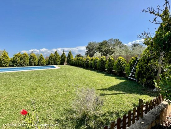 Finca en venta en Llubí (Baleares)