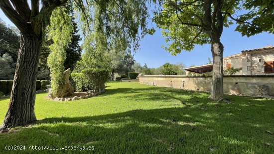 Finca en venta en Pollença (Baleares)