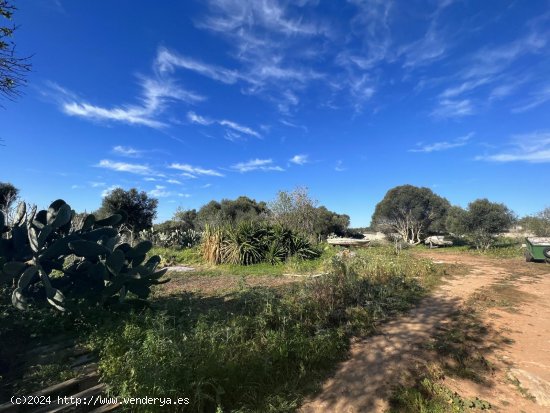 Solar en venta en Ses Salines (Baleares)