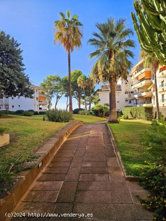 Apartamento en alquiler en Calvià (Baleares)