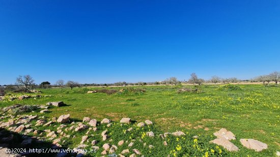 Finca en venta en Ses Salines (Baleares)