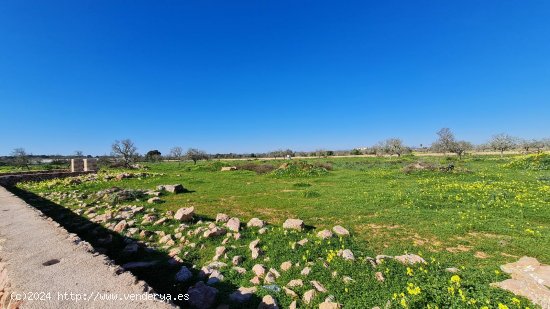 Finca en venta en Ses Salines (Baleares)