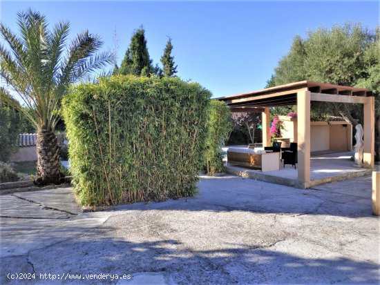 Finca en alquiler en Artà (Baleares)