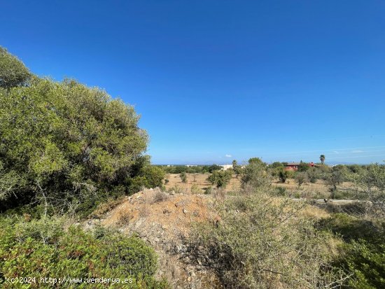 Solar en venta en Alcúdia (Baleares)