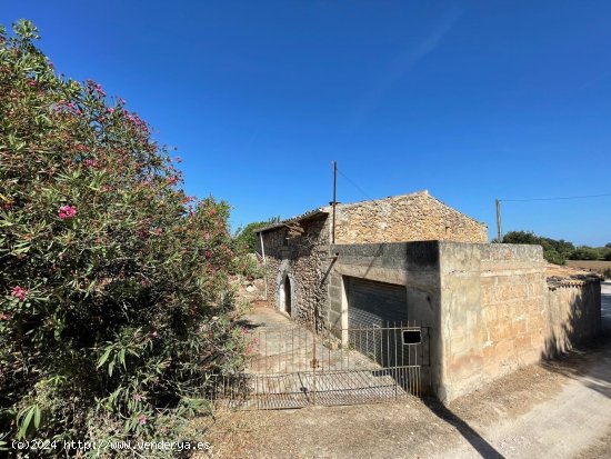 Finca en venta en Pollença (Baleares)