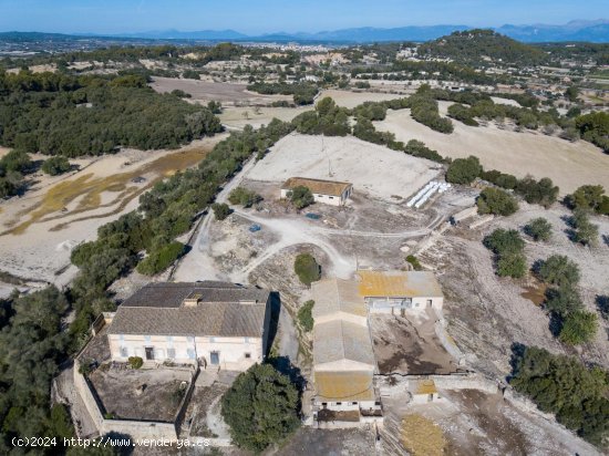 Finca en venta en Montuïri (Baleares)