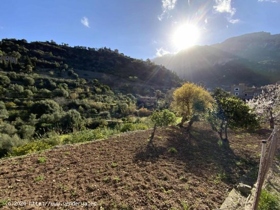 Solar en venta en Deyá (Baleares)