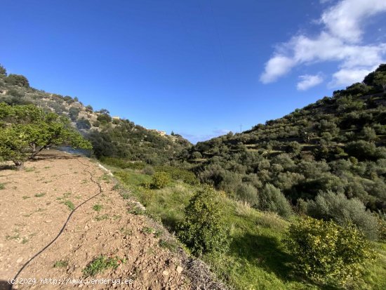 Solar en venta en Deyá (Baleares)