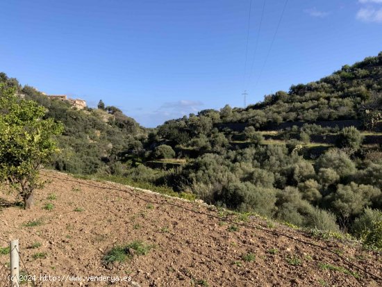 Solar en venta en Deyá (Baleares)