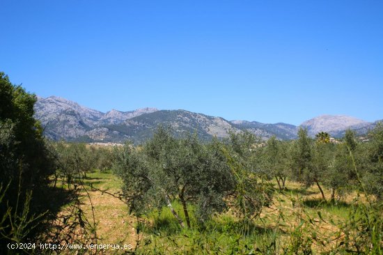 Finca en alquiler en Selva (Baleares)