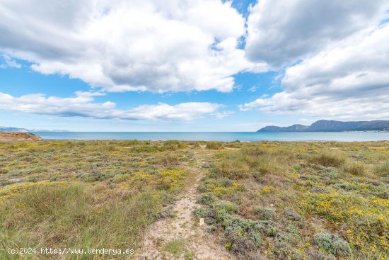 Solar en venta en Santa Margalida (Baleares)