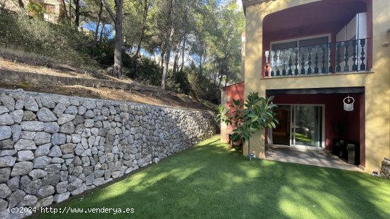 Apartamento en alquiler en Calvià (Baleares)