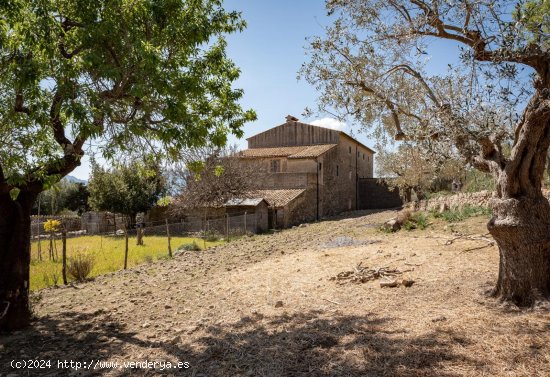 Finca en venta en Escorca (Baleares)