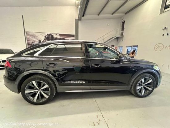 AUDI Q8 en venta en Sevilla (Sevilla) - Sevilla