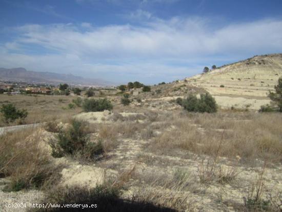 FINCA RÚSTICA EN ASPE - ALICANTE