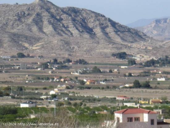 FINCA RÚSTICA EN ASPE - ALICANTE