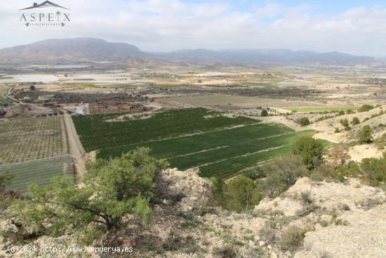 SE VENDE FINCA RÚSTICA EN PRODUCCIÓN EN MONFORTE - ALICANTE