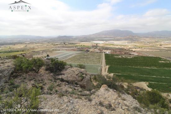 SE VENDE FINCA RÚSTICA EN PRODUCCIÓN EN MONFORTE - ALICANTE