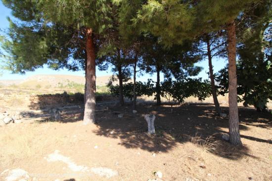 Terreno en La Romana - ALICANTE