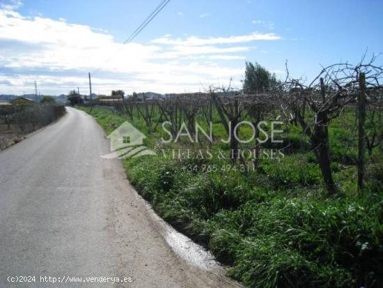 VENTA DE TERRENO RURAL EN ZONA HORNA EN ASPE - ALICANTE