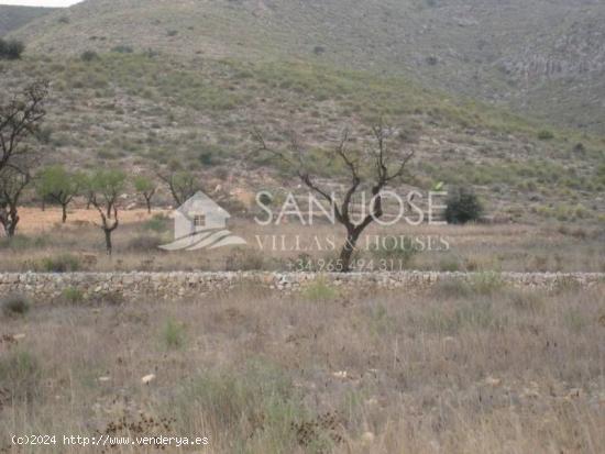 VENTA DE TERRENO EN HONDON DE LOS FRAILES - ALICANTE