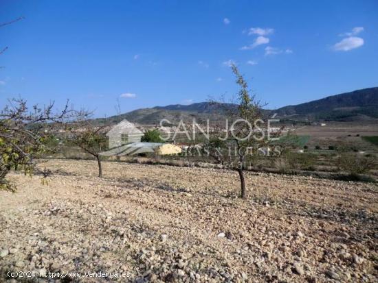  VENTA DE PARCELA EN HONDON DE LAS NIEVES - ALICANTE 