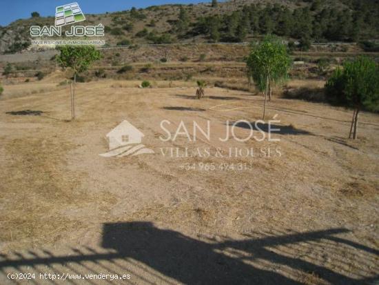 SE VENDE PARCELA RUSTICA PARA CONSTRUIR EN ASPE ZONA DE LA OFRA - ALICANTE