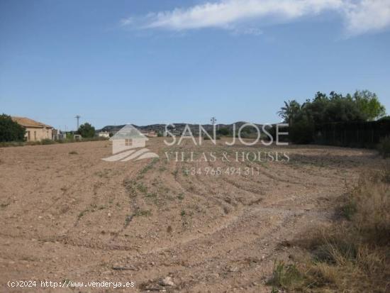 Inmobiliaria San Jose vende estupenda parcela en Aspe, Alicante, Costa Blanca - ALICANTE