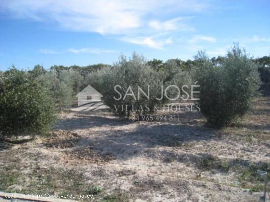 INMOBILIARIA SAN JOSE VENDE PARCELA RUSTICA VALLADA EN ASPE - ALICANTE