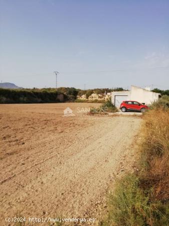  OPORTUNIDAD  DE COMPRAR  PARCELA CON ALBERGUE CON PARCELA DE 11.500 M2 ZONA DEL CAMPET DE ASPE - ALI 