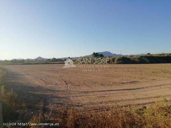 OPORTUNIDAD  DE COMPRAR  PARCELA CON ALBERGUE CON PARCELA DE 11.500 M2 ZONA DEL CAMPET DE ASPE - ALI