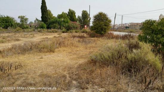 SE VENDE TERRENO EN ASPE, ALICANTE, ESPAÑA, SPAIN. - ALICANTE