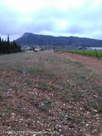 SE VENDE TERRENO RUSTICO EN ASPE ZONA ALCANA - ALICANTE