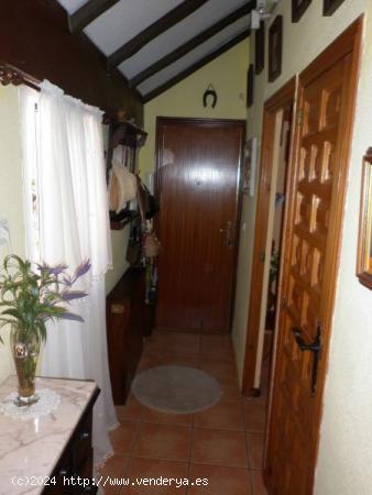 Inmobiliaria San José vende precioso ático con terraza en Alicante - ALICANTE