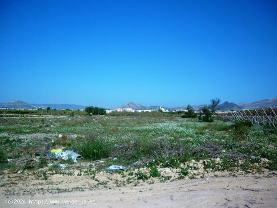 Terreno en el camino de elche, monforte del cid - ALICANTE