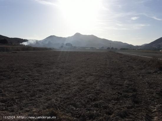 TERRENO RUSTICO PARA CONSTRUIR EN ASPE ZONA DEL TOLOMO - ALICANTE