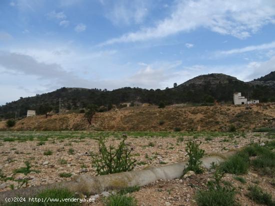 FINCA RUSTICA EN EL TOLOMO-UMBRIA EN HONDON DE LAS NIEVES - ALICANTE