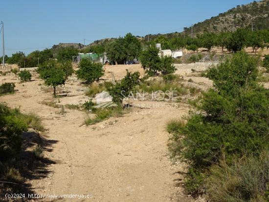 SE VENDE TERRENO RUSTICO AL PIE DE LA MONTAÑA EN HONDON DE LAS NIEVES - ALICANTE