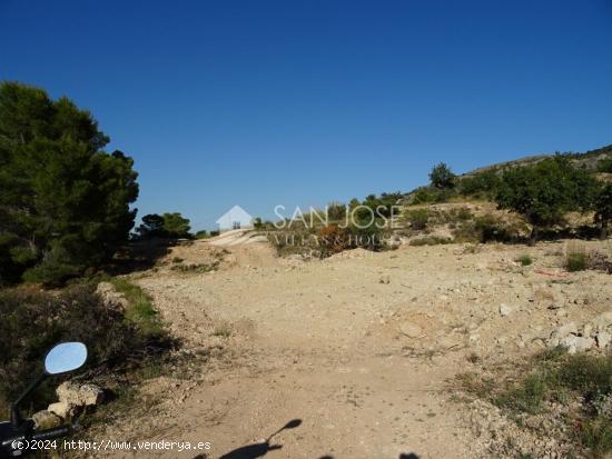 SE VENDE TERRENO RUSTICO AL PIE DE LA MONTAÑA EN HONDON DE LAS NIEVES - ALICANTE