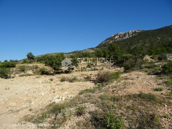 SE VENDE TERRENO RUSTICO AL PIE DE LA MONTAÑA EN HONDON DE LAS NIEVES - ALICANTE