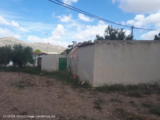 SE VENDE CASA CON TERRENO EN  ALGUEÑA (PINOSO) - ALICANTE