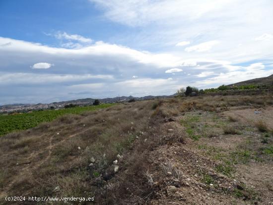 SE VENDE TERRENO EN LA ZONA DE LA HORNA EN ASPE - ALICANTE