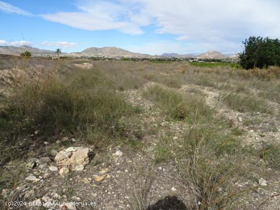 SE VENDE TERRENO EN LA ZONA DE LA HORNA EN ASPE - ALICANTE