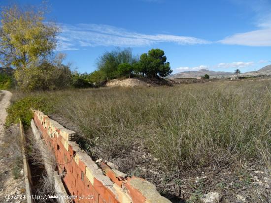 SE VENDE TERRENO EN LA ZONA DE LA HORNA EN ASPE - ALICANTE