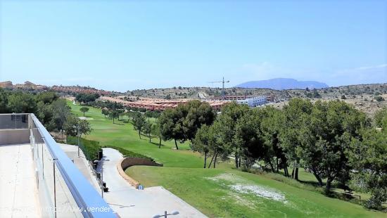 ESPECTACULARES TERRENOS URBANOS EN VENTA EN ALENDA GOLF, MONFORTE, ALICANTE - ALICANTE