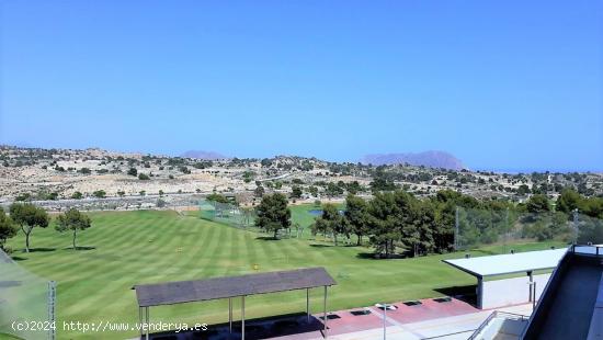 ESPECTACULARES TERRENOS URBANOS EN VENTA EN ALENDA GOLF, MONFORTE, ALICANTE - ALICANTE