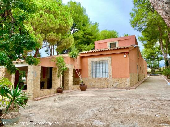  Venta de estupenda finca en Agost con muchas posibilidades de negocio. - ALICANTE 