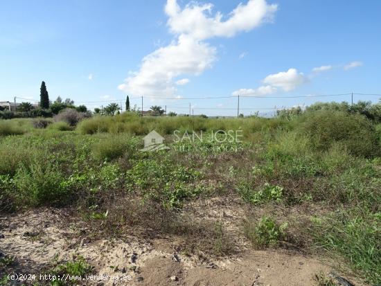 SE VENDE PARCELA RUSTICA EN LA ZONA DE MAITINO  MUY CERCA DE LA PLAYA Y EN ELCHE - ALICANTE