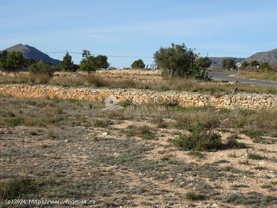  SE VENDE TERRENO RUSTICO EN HONDÓN DE LAS NIEVES ZONA CANALOSA - ALICANTE 